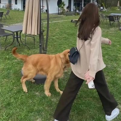叔比狗疯狂摔角大奇案